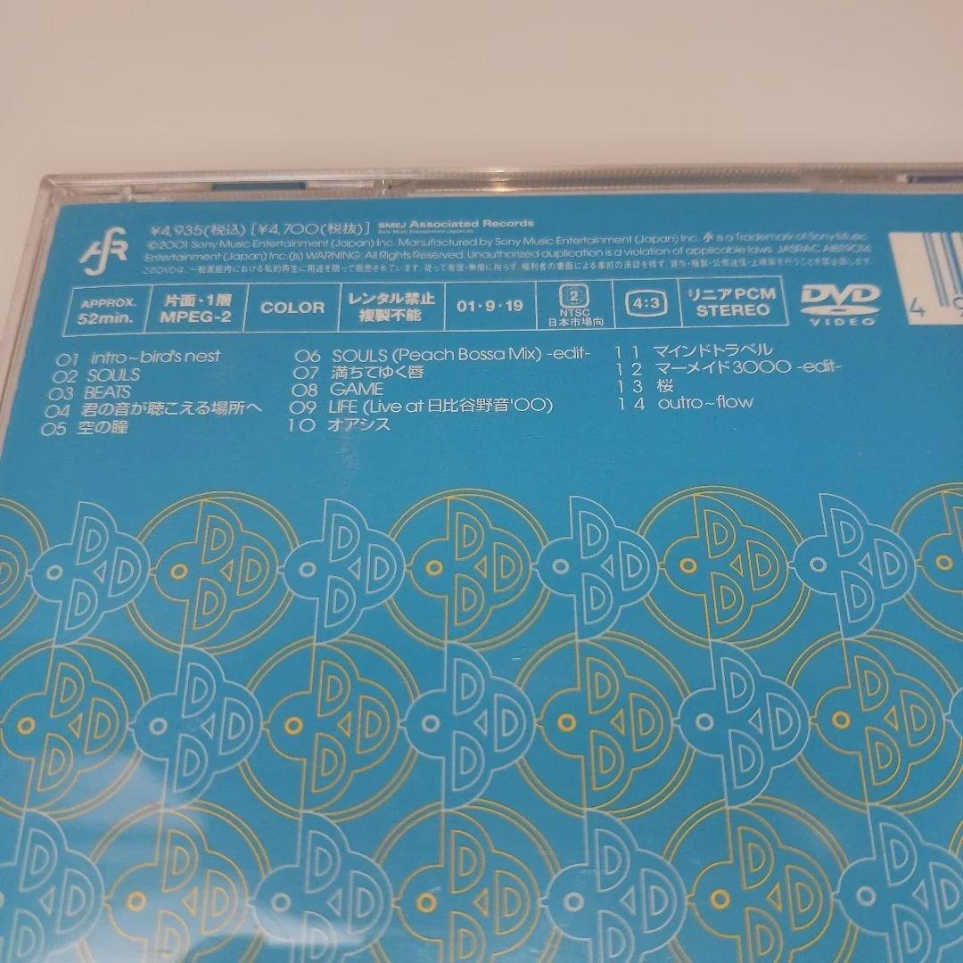 【DVD】bird/bird clips! #1 — image 5