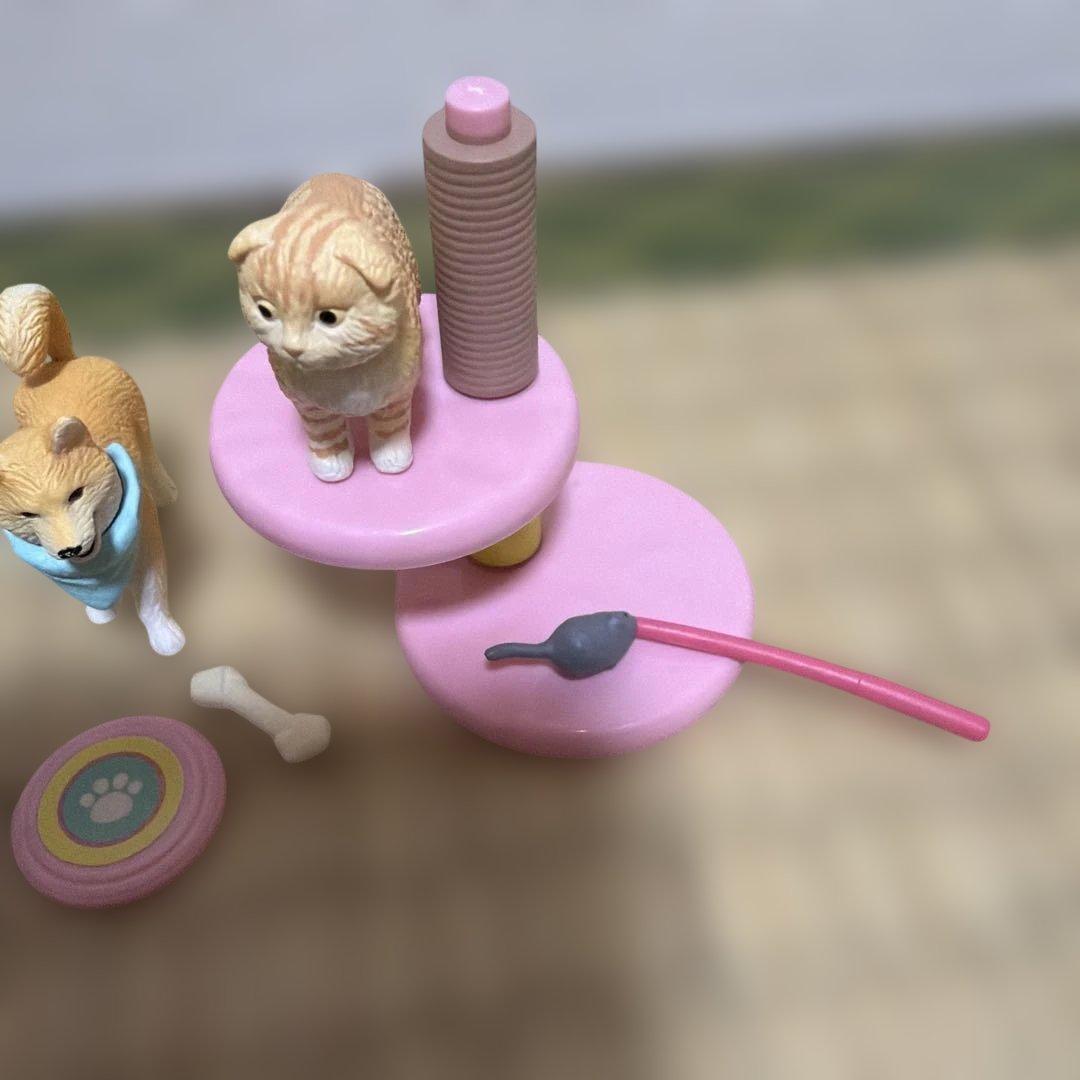 アニアフレンズ　柴犬　ボストン・テリア　スコティッシュフォールド — image 2