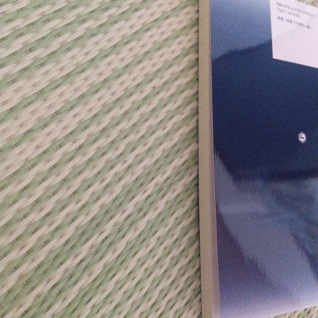 Interactional Mind18(2025) : 特集:セラピーに活か… — image 3