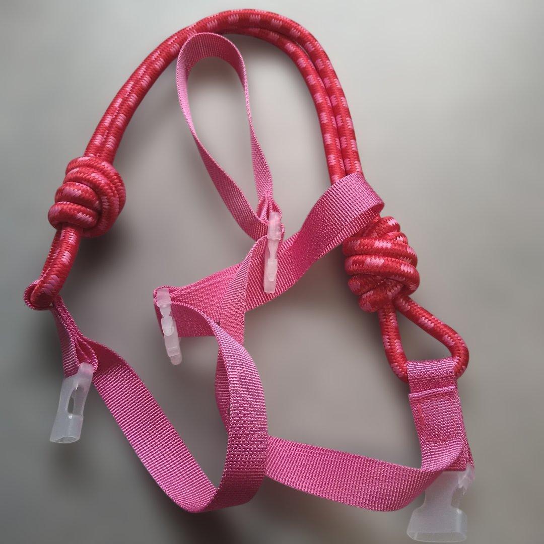 ball&chain エレファント　象 — image 2