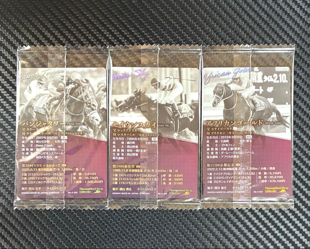 サラブレッドホースコレクション　第4R パンジャタワー 他　3枚セット — image 2
