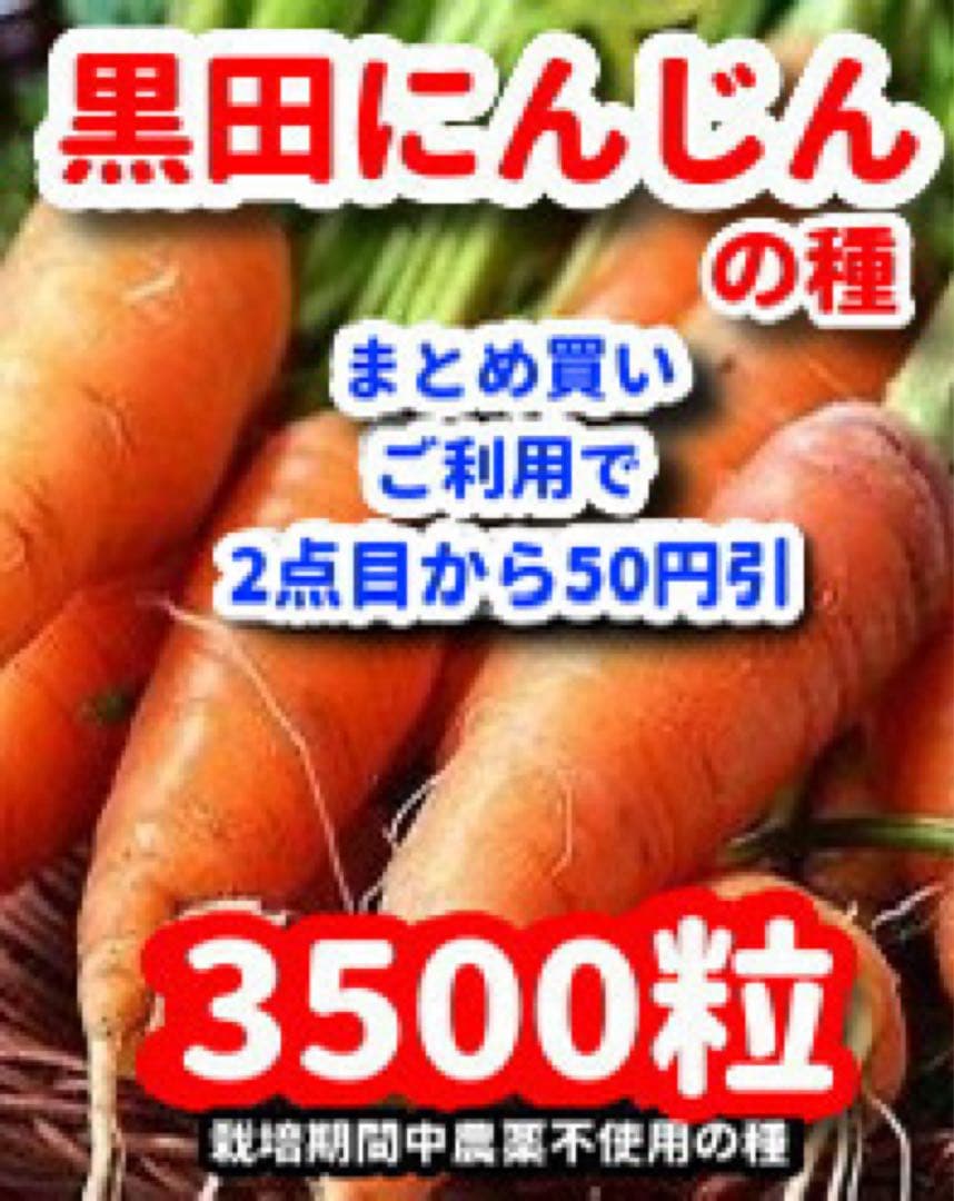 Aangg様 リクエスト 3点 まとめ商品 — image 2