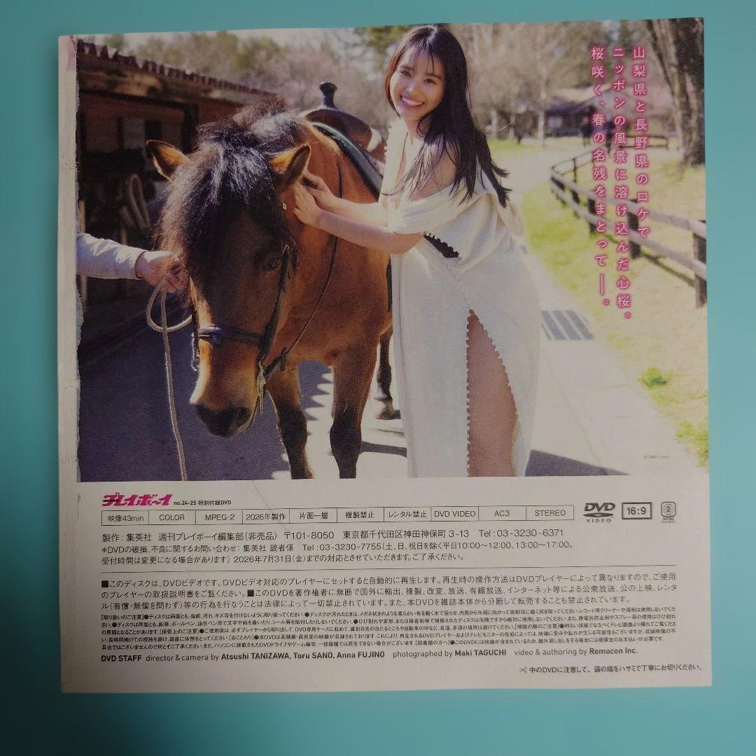 「送料180円込み」豊島心桜 心桜、咲く。 週プレ 特別付録DVD — image 2