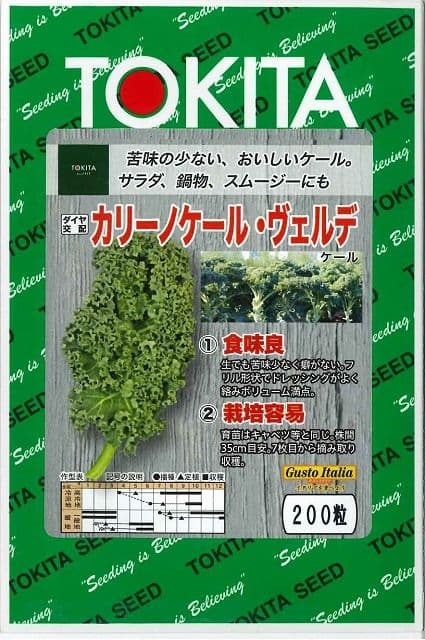 カリーノケール苗 6本 栽培期間中農薬不使用 — image 5