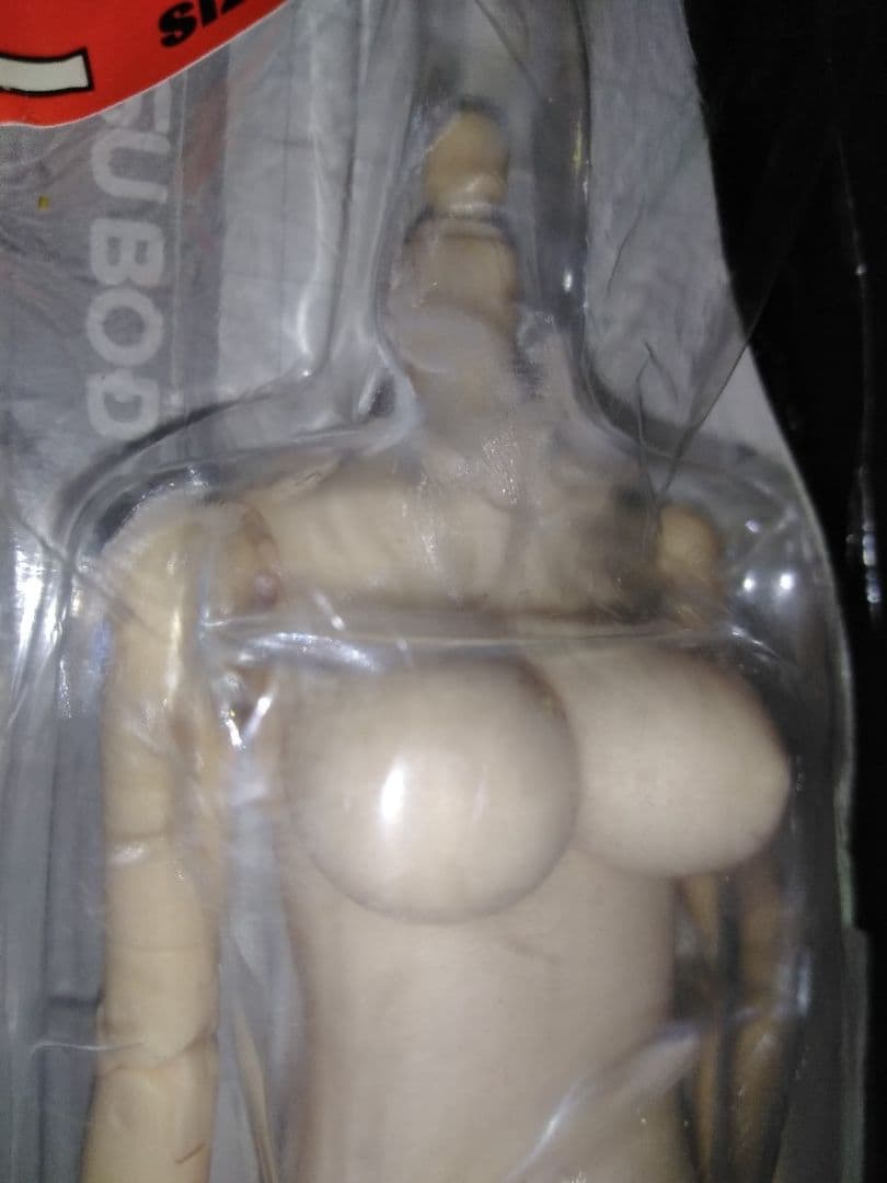 未開封未使用パッケージ損傷破れ有 25cmオビツボディ(女性) L ホワイティ — image 4
