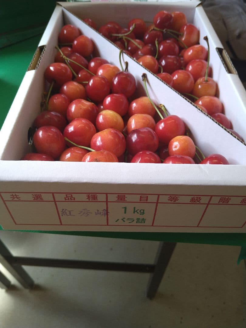 紅秀峰 訳あり 1キロ さくらんぼ サクランボ — image 3