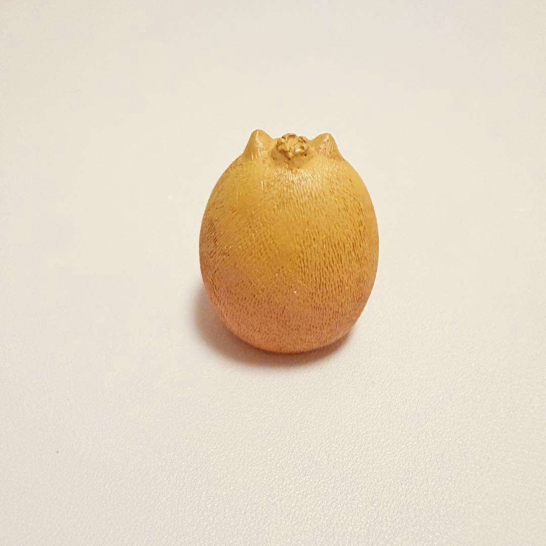 【デコレ コンコンブルconcombre】猫 キウイ — image 2