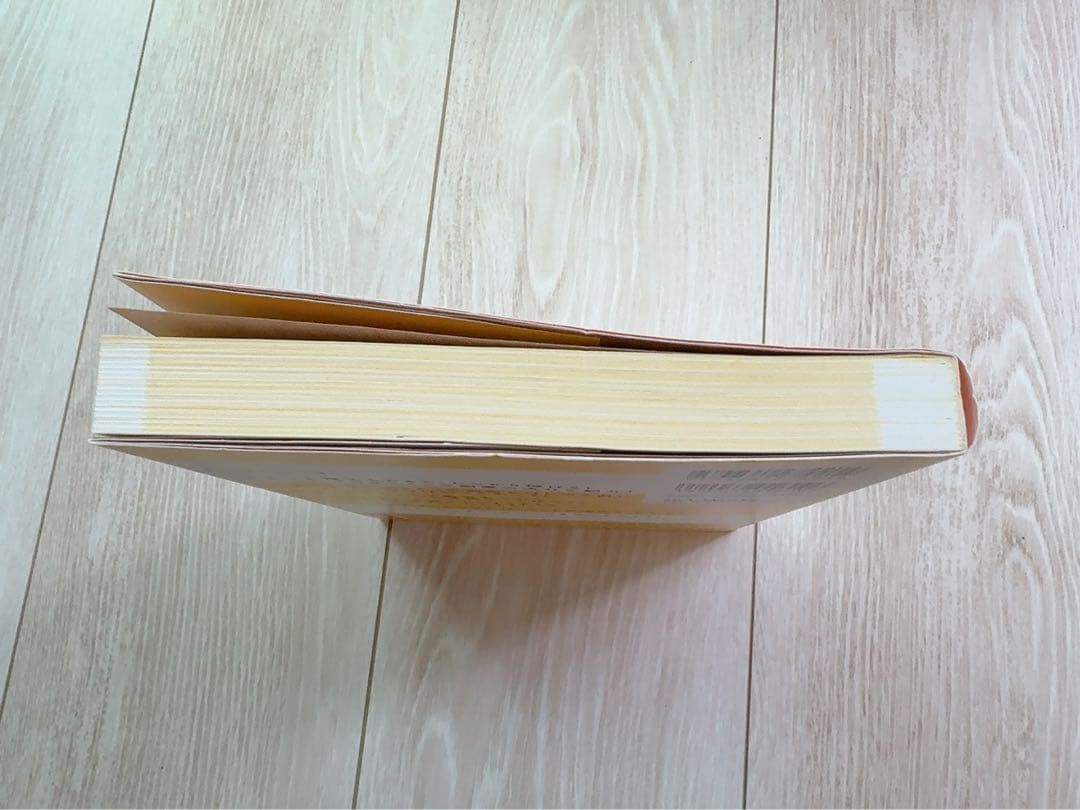 文系でもプログラミング副業で月10万円稼ぐ! — image 3