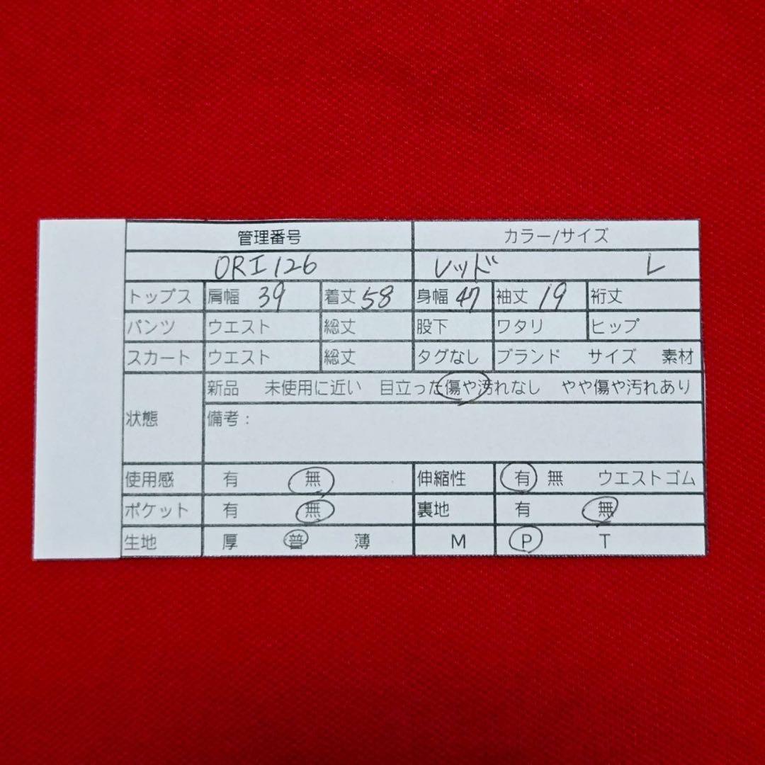 ランズエンド　半袖ポロシャツ(L)ストレッチ　大人カジュアル　派手　ナチュラル — image 2