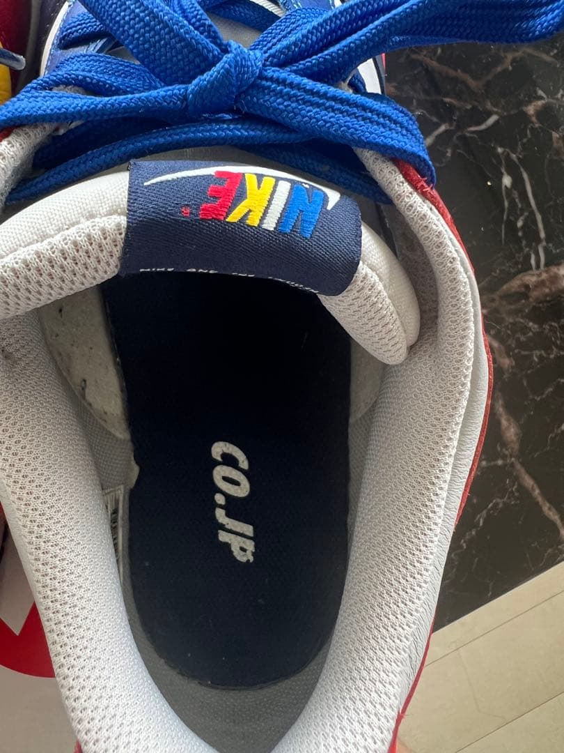 Nike Dunk Low CO.JP "What The" — image 4