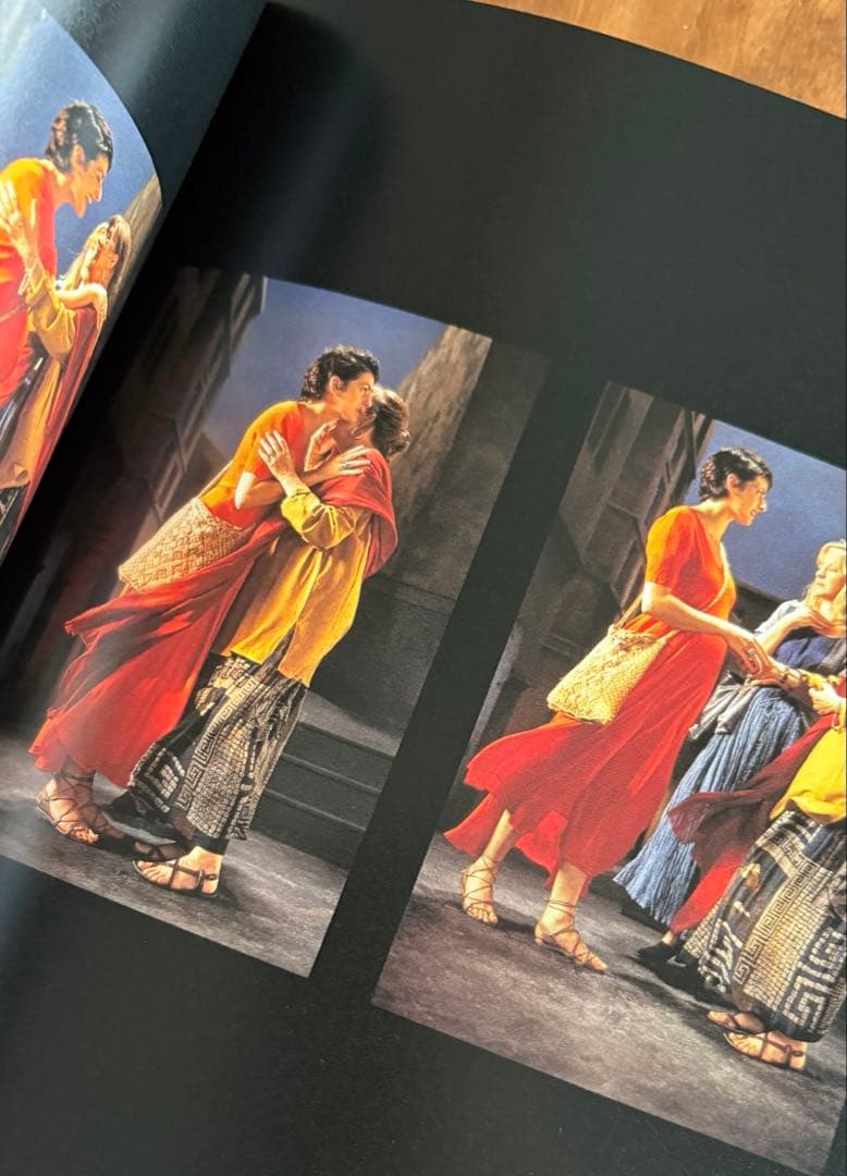 BILL VIOLA ビル・ヴィオラ はつゆめ とポストカード2枚付き — image 5
