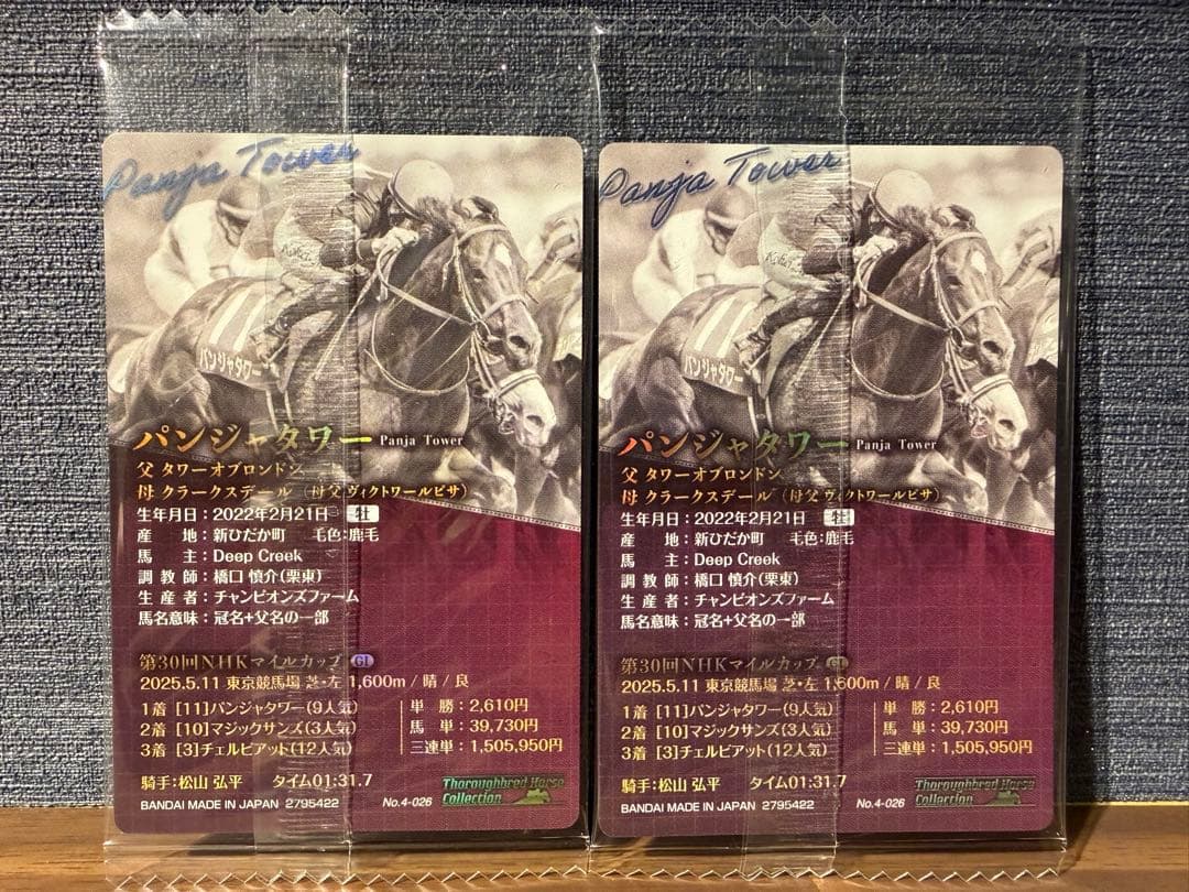 サラブレッドホースコレクション　第4Ｒ　パンジャタワー — image 4