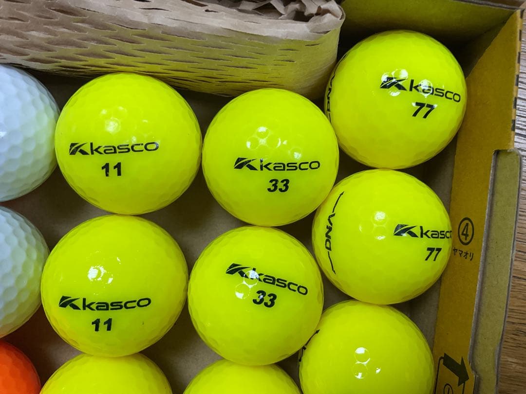Kasco DNA 合計24個。 — image 4