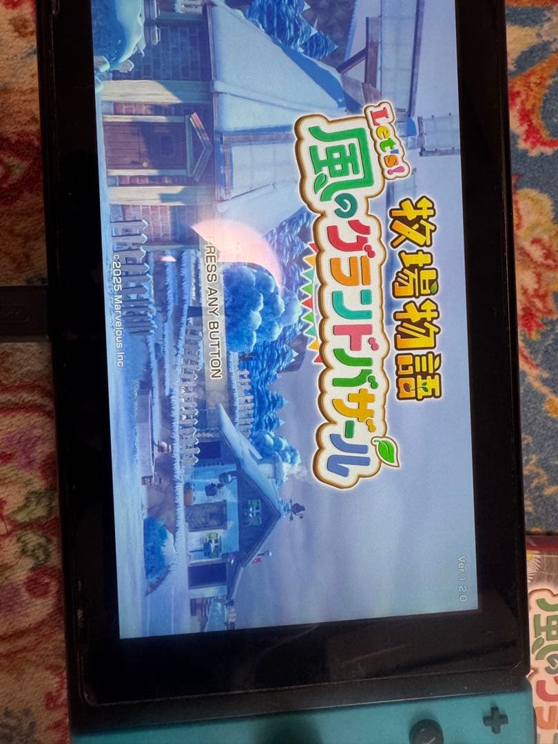 牧場物語　風のグランドバザール — image 3
