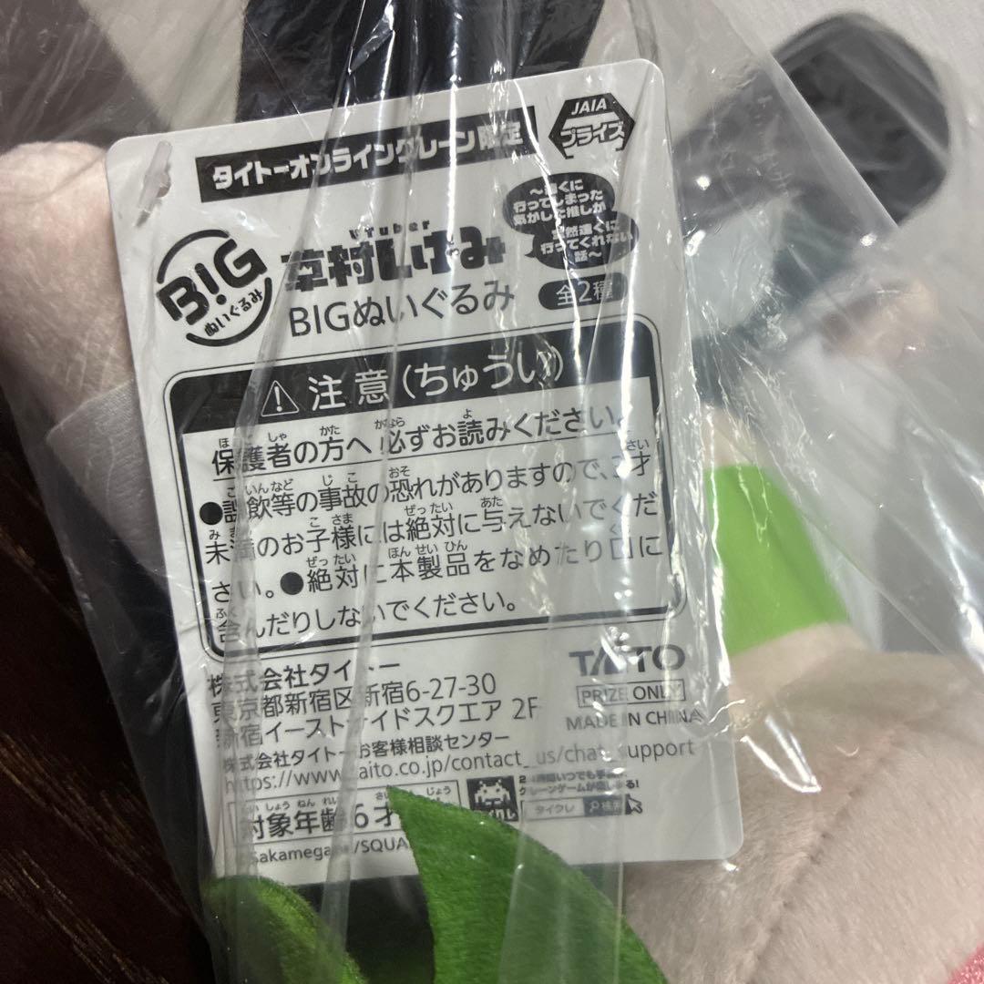 Vtuber 草村しげみ　BIGぬいぐるみ　ノーマル　タイクレ限定 — image 4