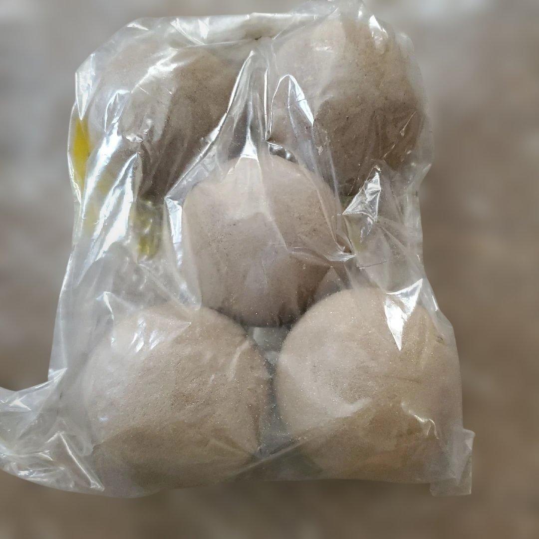 Oasis SEC Dry Foam Sphere 9cm 5個入 — image 2
