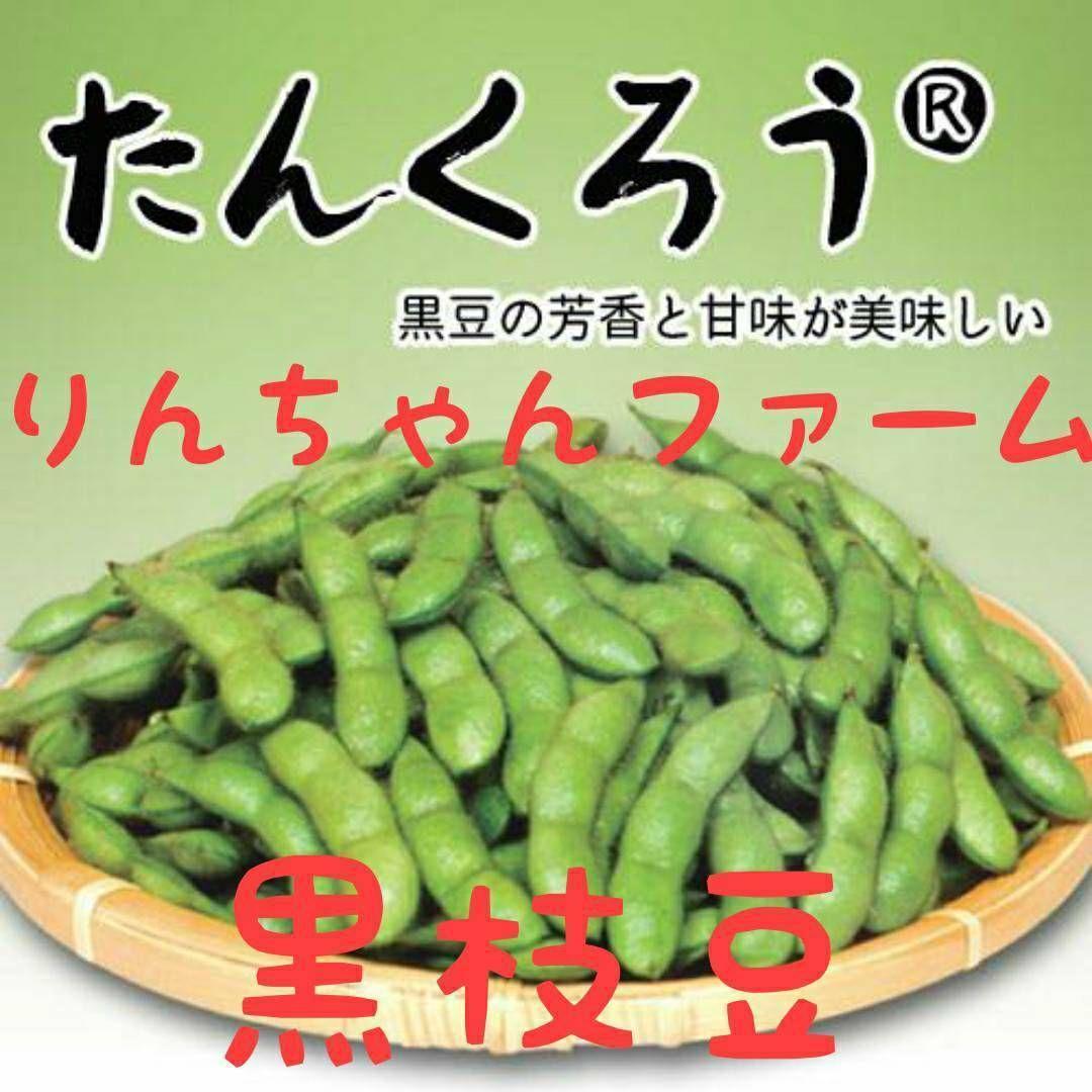 ⑨枝豆 — image 2
