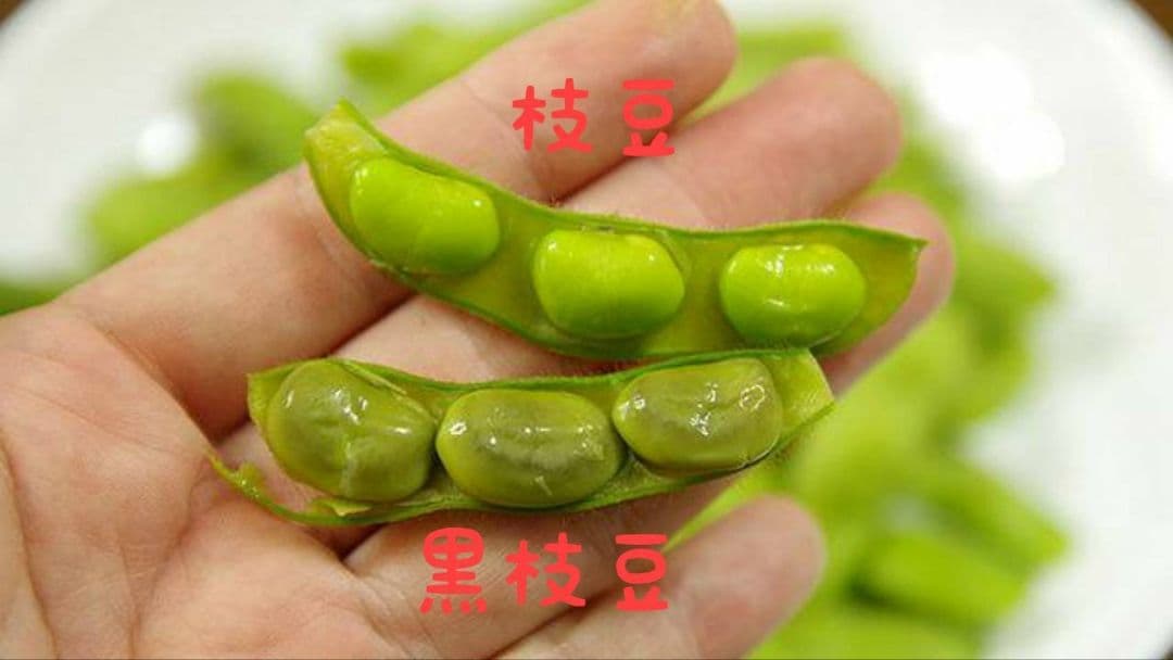 ⑨枝豆 — image 4