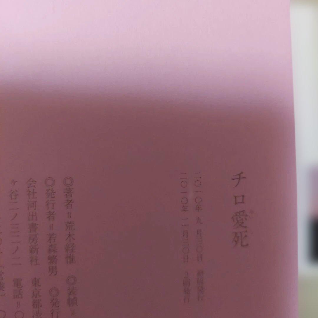 チロ愛死 荒木経惟 写真集 第2刷❗極美品❗ 単行本 河出書房新社 — image 3