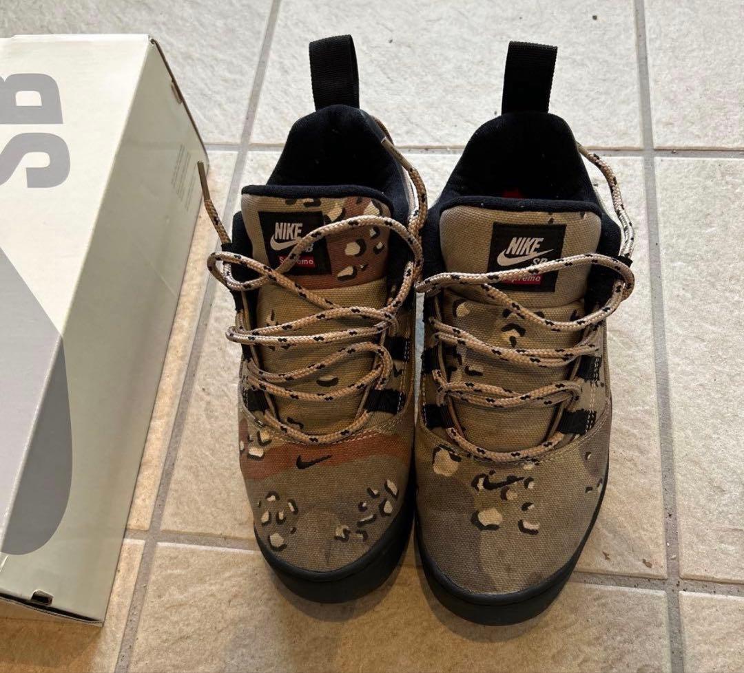 Supreme Nike SB Darwin Low Desert Camo — image 2