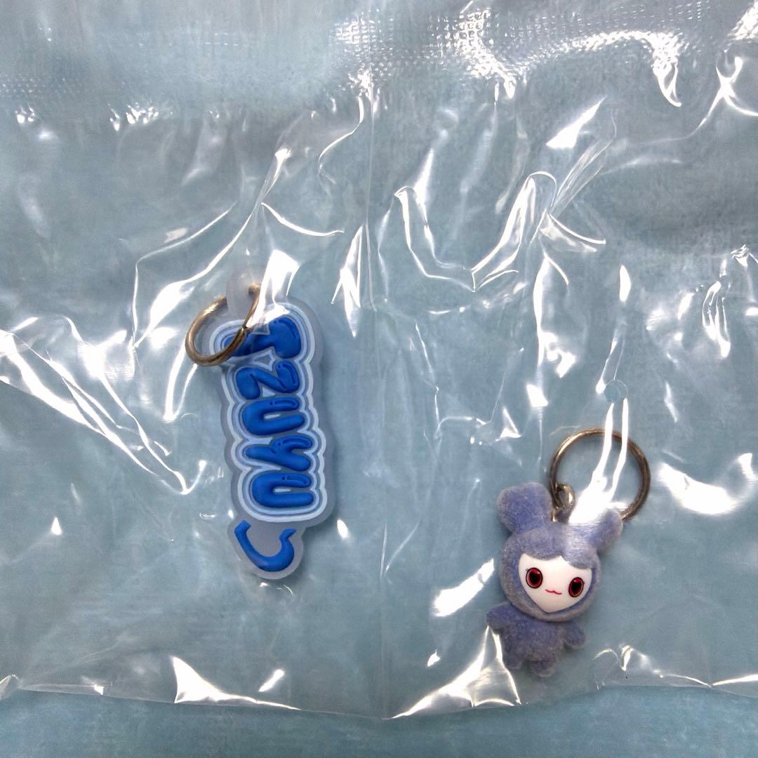 TWICE ラブリーズ　アクリルカラビナフロッキーマスコット　ツウィ — image 2