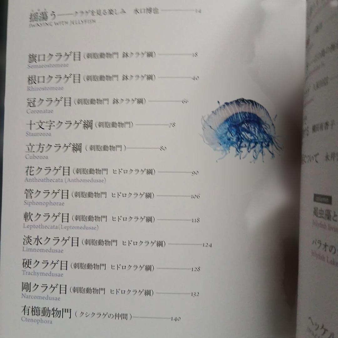 世界で一番美しいクラゲ図鑑 = The most beautiful phot… — image 5