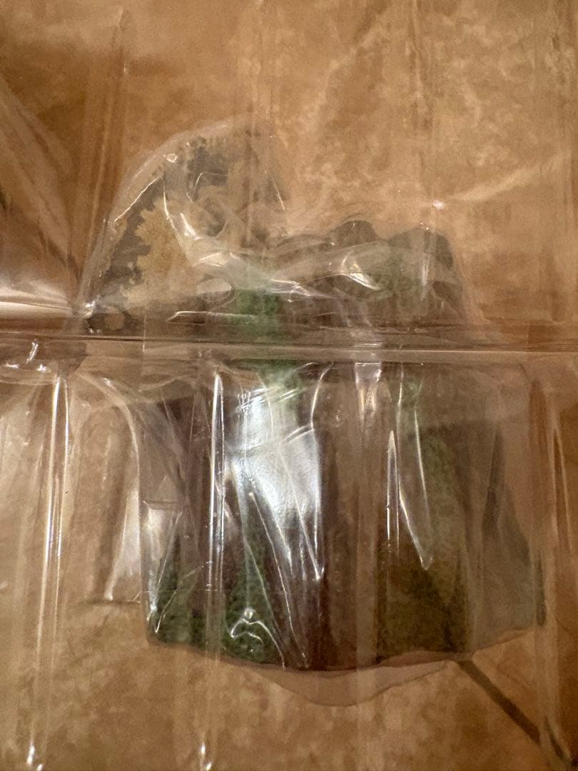 一番くじ 爬虫類・両生類 D賞 クレステッドゲッコー — image 5