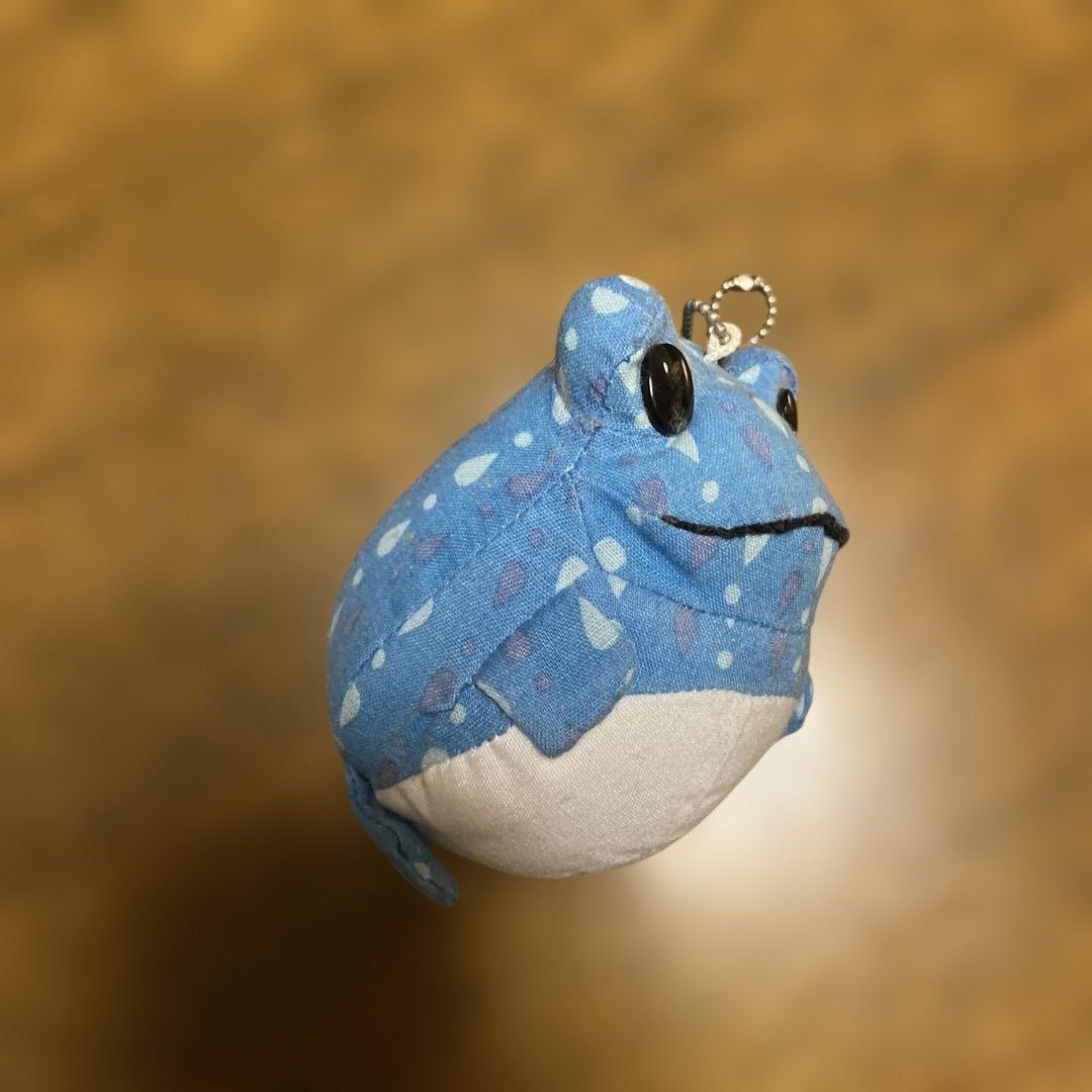 FROG STYLE ビーンズフロッグ — image 4