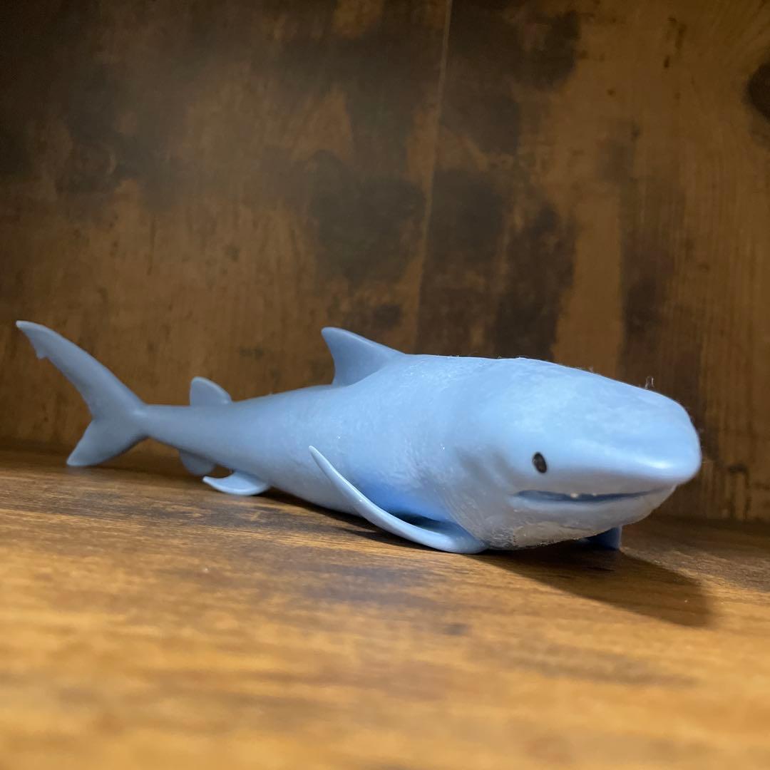 アンドコ　ジャングルアンドコ　サメ　オオメジロザメ　ホオジロザメ　&Co — image 2
