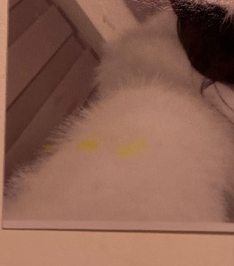 ウィンター写真 チェキ 2枚セット — image 2