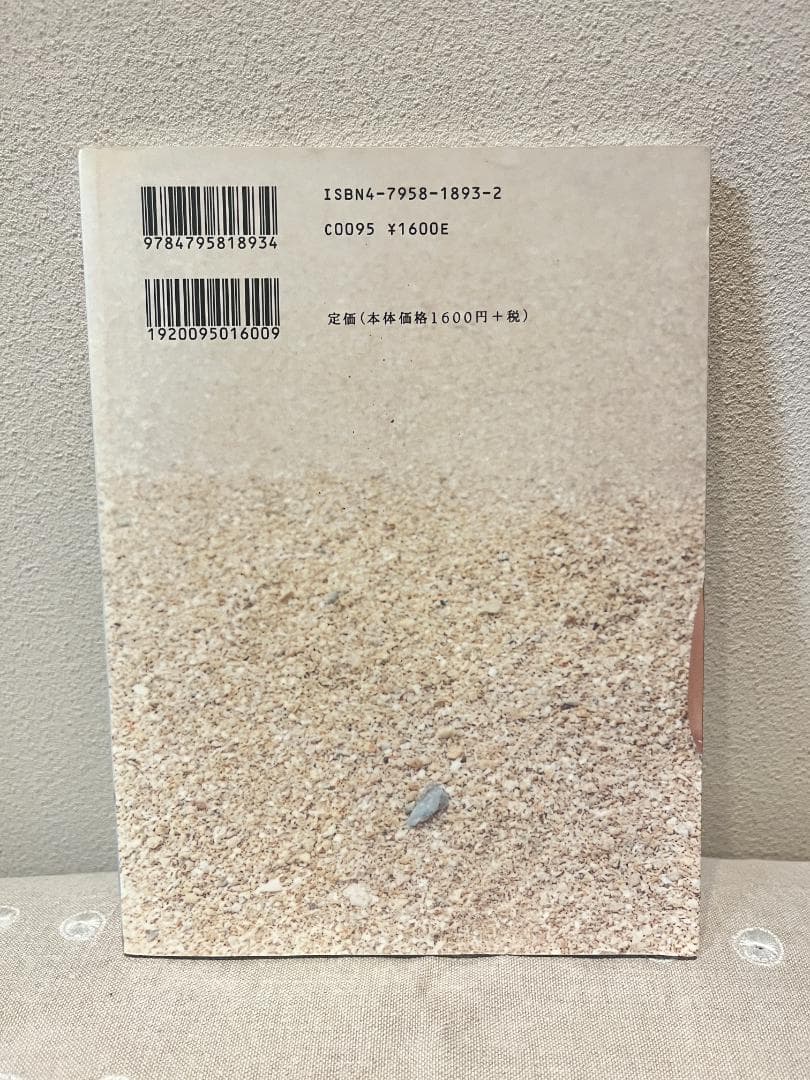 ⭐︎初版⭐︎長野陽一写真集『シマノホホエミ』 — image 2