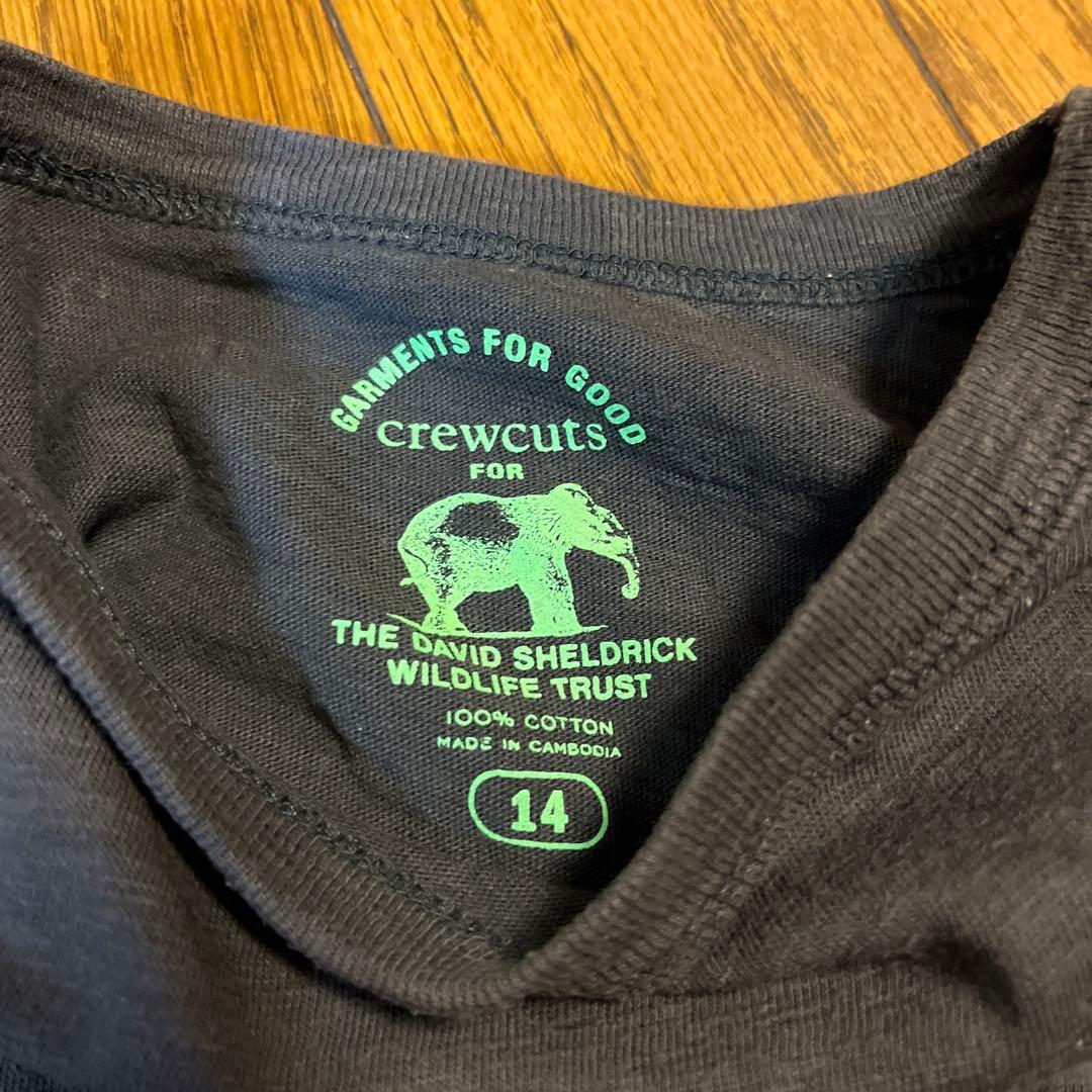 Jcrew 14 — image 3