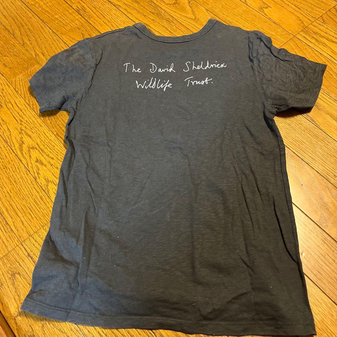 Jcrew 14 — image 4
