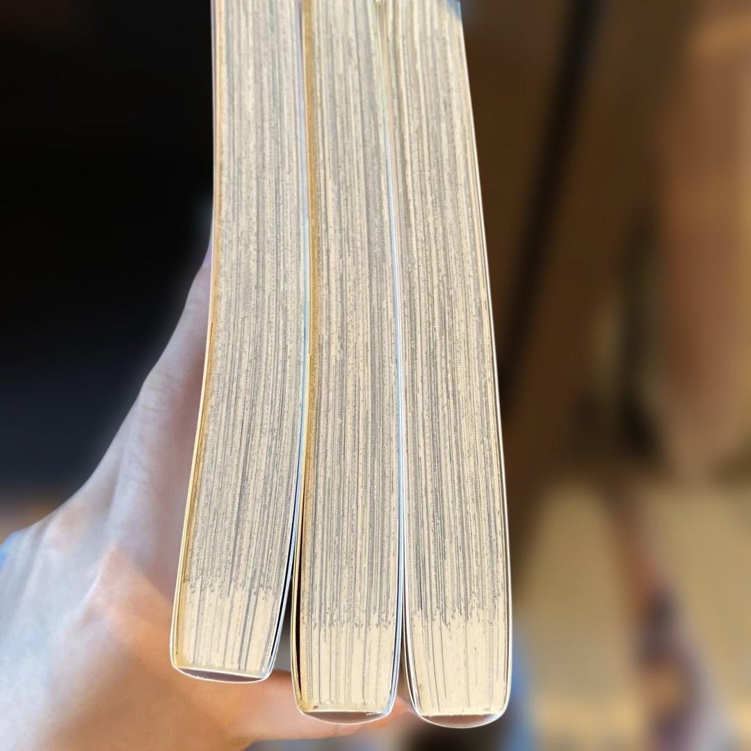 陰キャな僕が双子に愛される理由 1-3巻セット — image 2