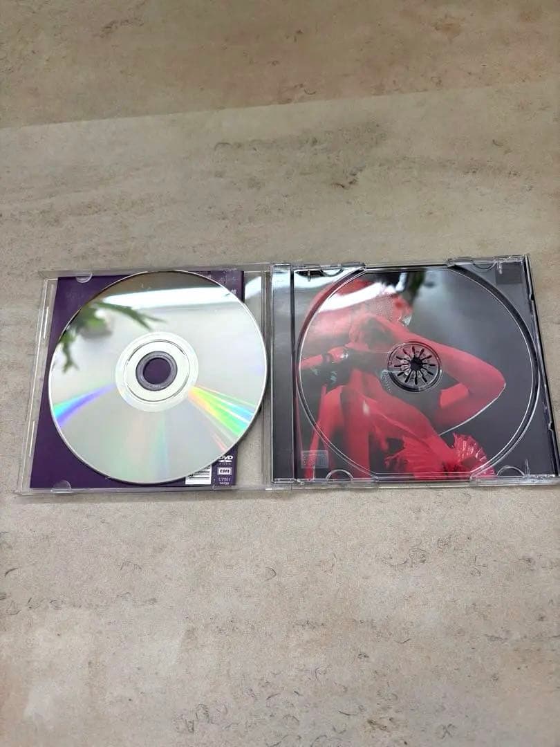 椎名林檎 不惑余裕 DVD RINGO EXPO 18 — image 4