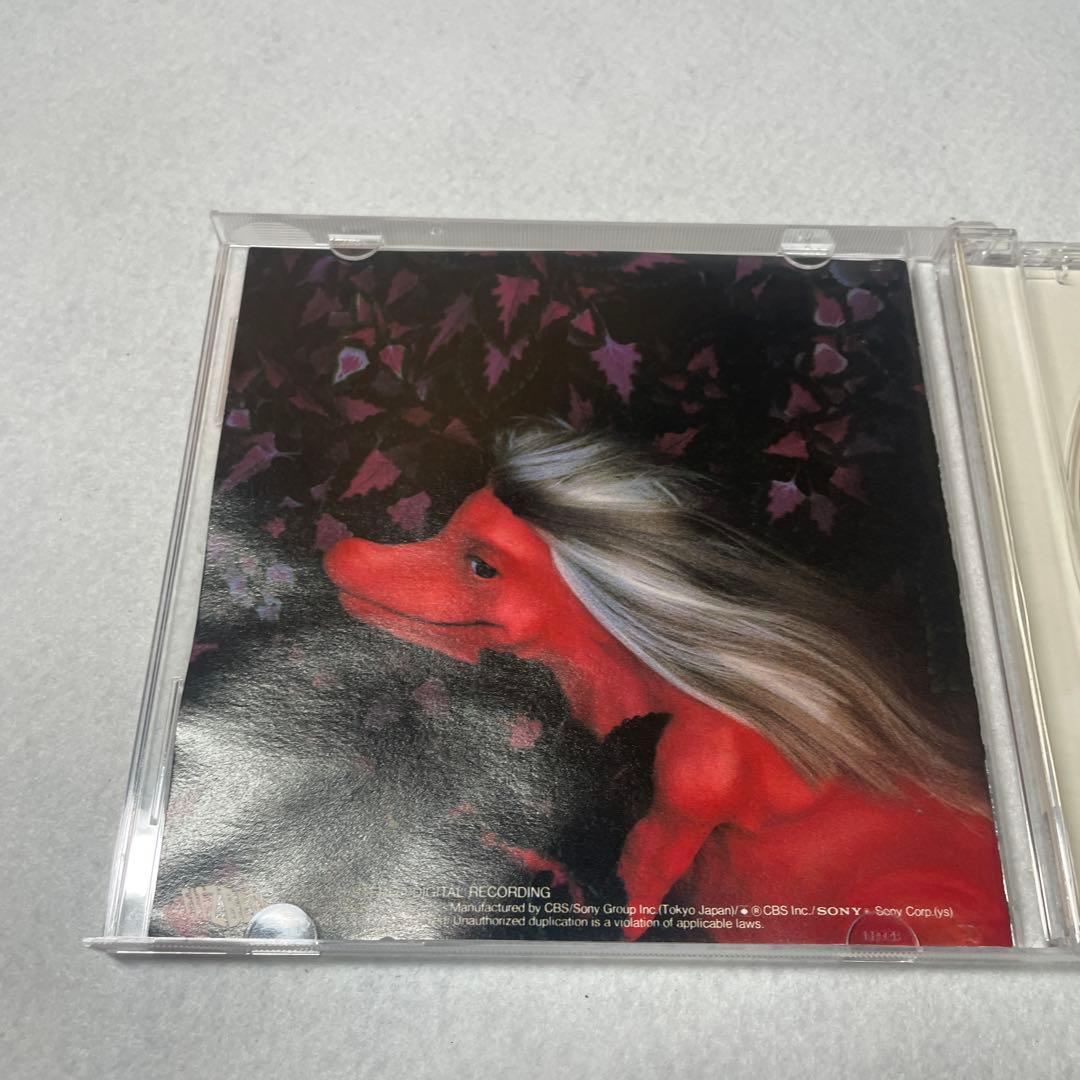 REBECCA レベッカ　ブロンドサウルス — image 4
