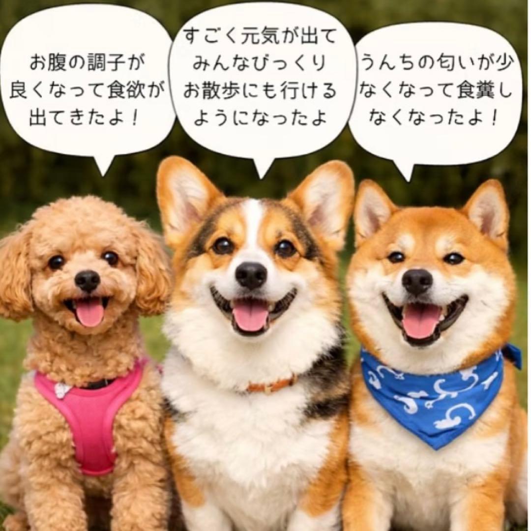 新品グリーントライプ 生フリーズドライ 9g おやつ トッピング 定価690円 — image 3