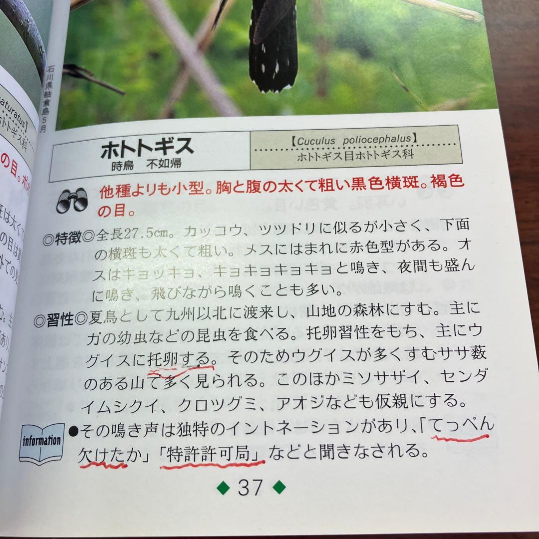 野鳥 : 日本で見られる287種判別のポイント — image 4