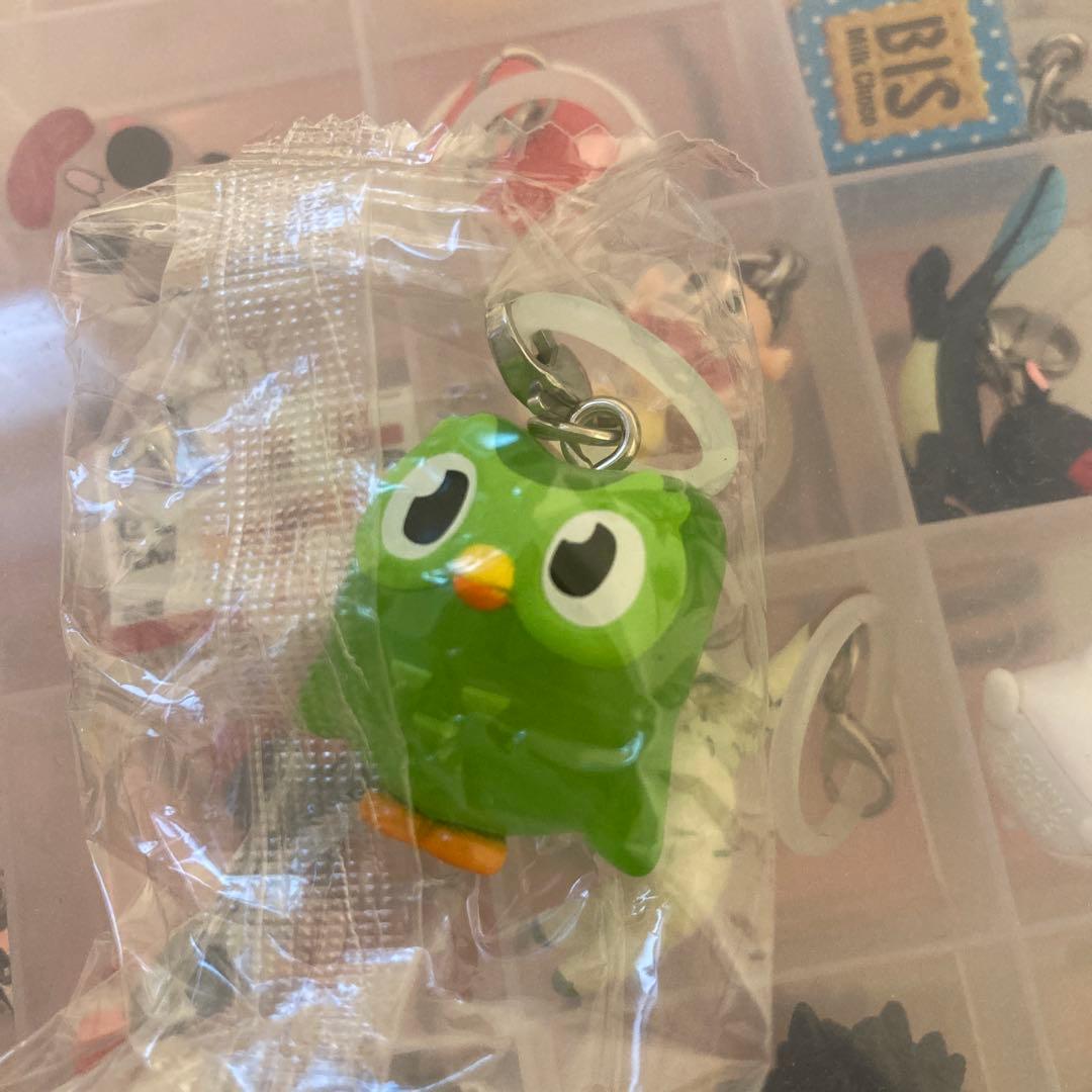 Duolingo めじるしアクセサリー — image 2