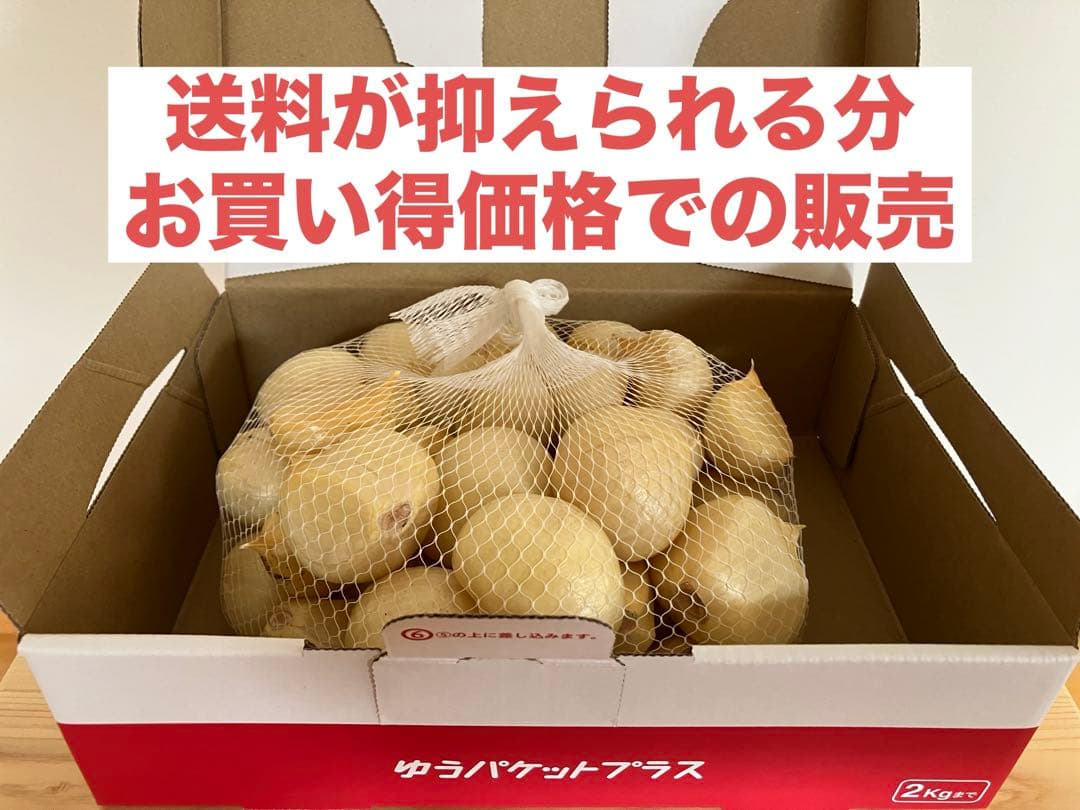 【農薬不使用】生ジャンボニンニク外皮剥き済みバラ1kg — image 2