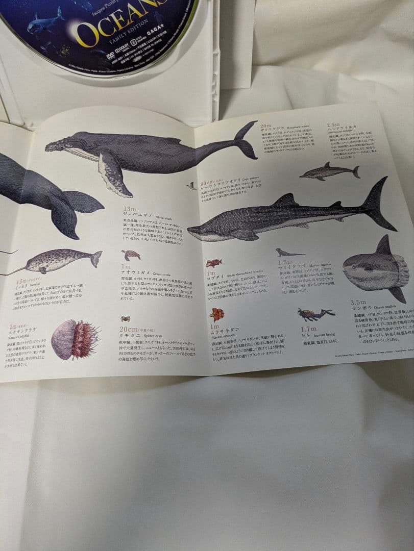OCEANS オーシャンズ DVD 生態図鑑ブックレット付き — image 4