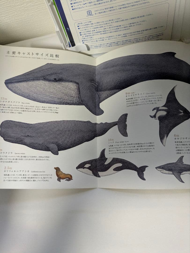 OCEANS オーシャンズ DVD 生態図鑑ブックレット付き — image 5