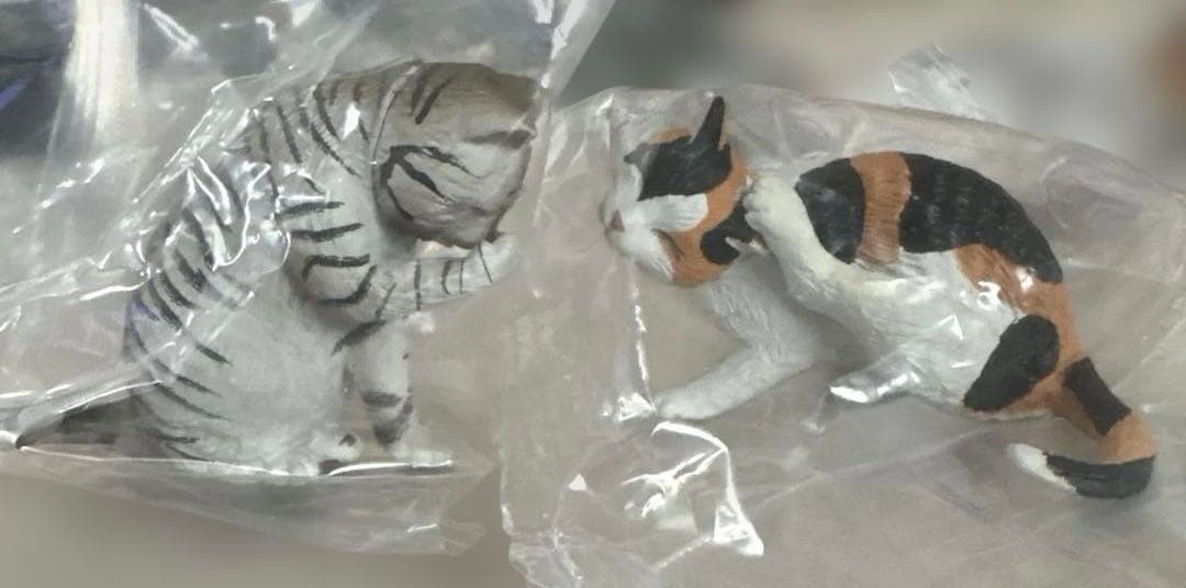 灰色メロン カイカイ 猫 全5種セット【未開封】/一部組立 — image 3
