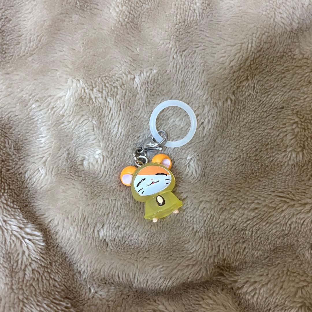 vlfwzq様¨̮ — image 2