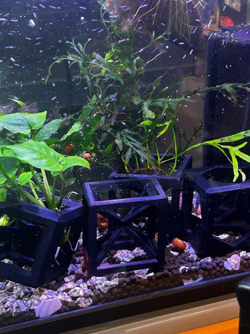 aqua BLOCK 魚・エビの隠れ家 2 — image 5