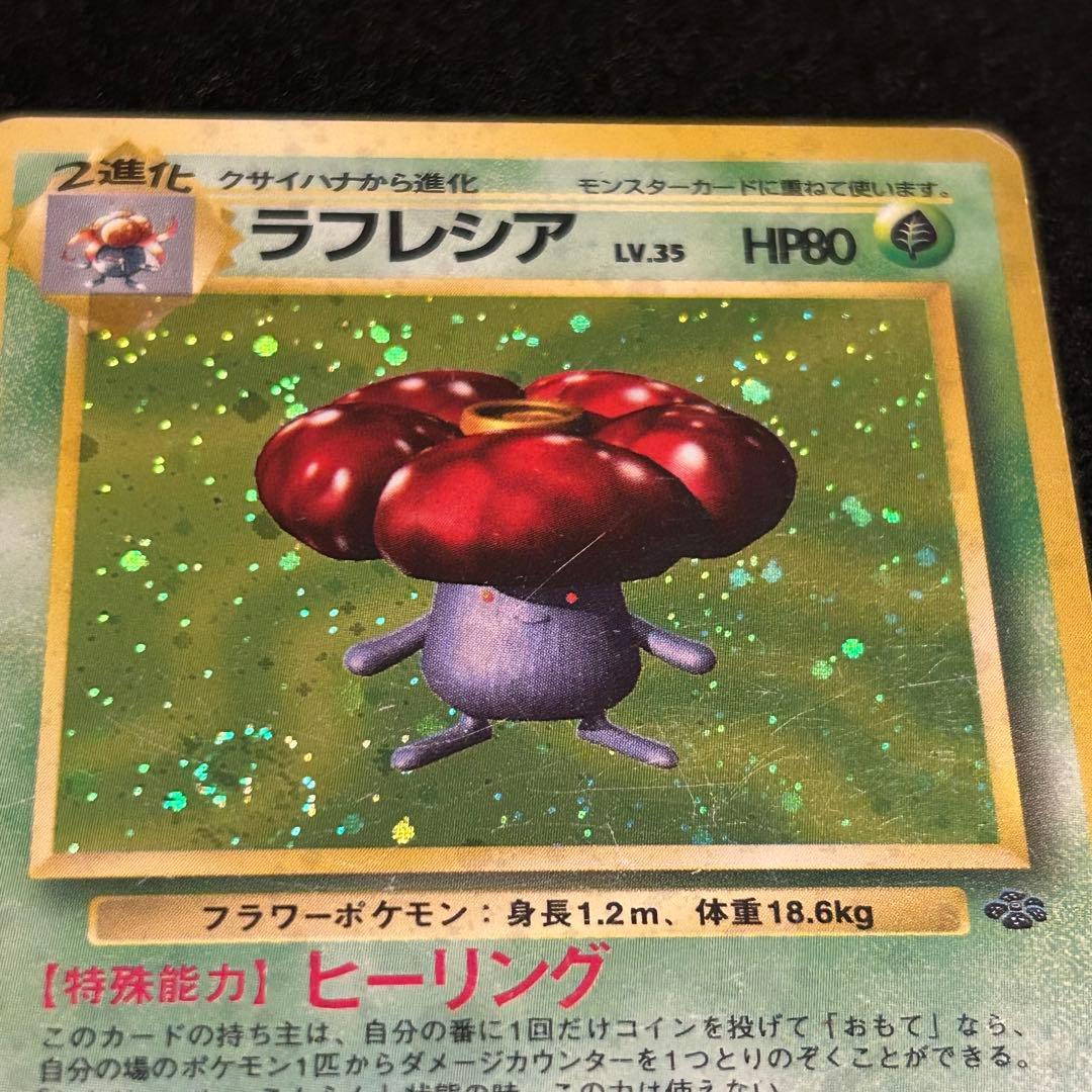 渦巻きホロ ラフレシア ポケモンジャングル ポケモンカード 旧裏面 マークあり — image 3