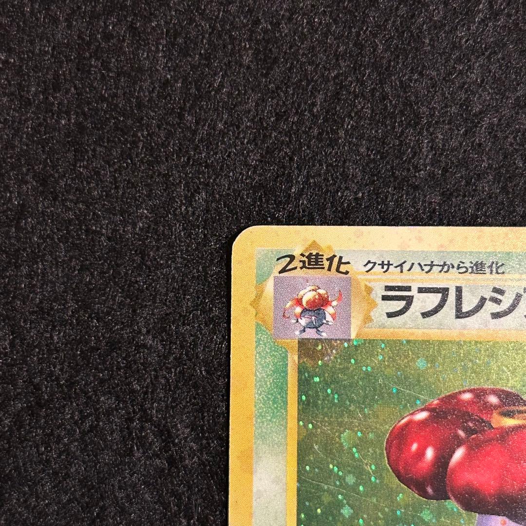 渦巻きホロ ラフレシア ポケモンジャングル ポケモンカード 旧裏面 マークあり — image 4