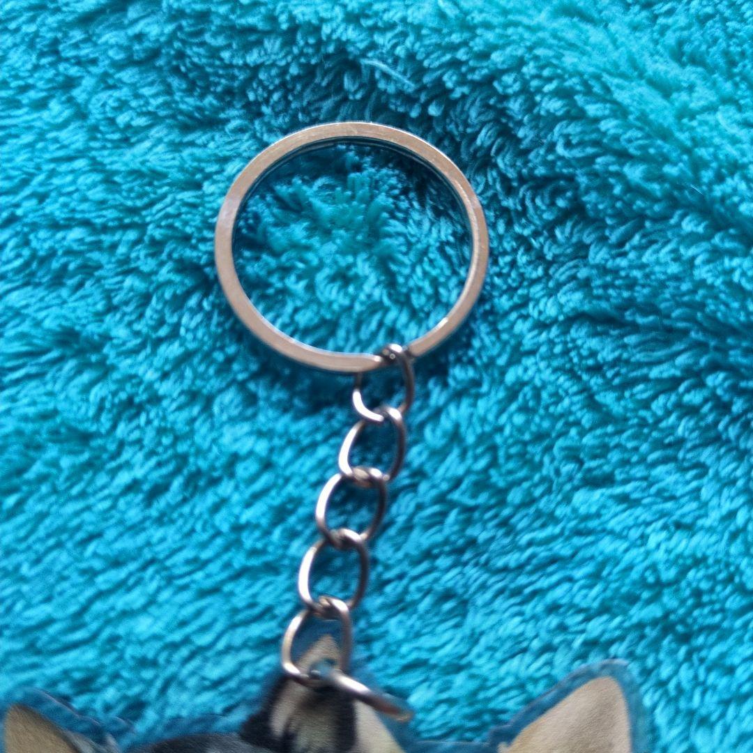 新品未使用で可愛いチワワ アクリルキーホルダーです — image 3