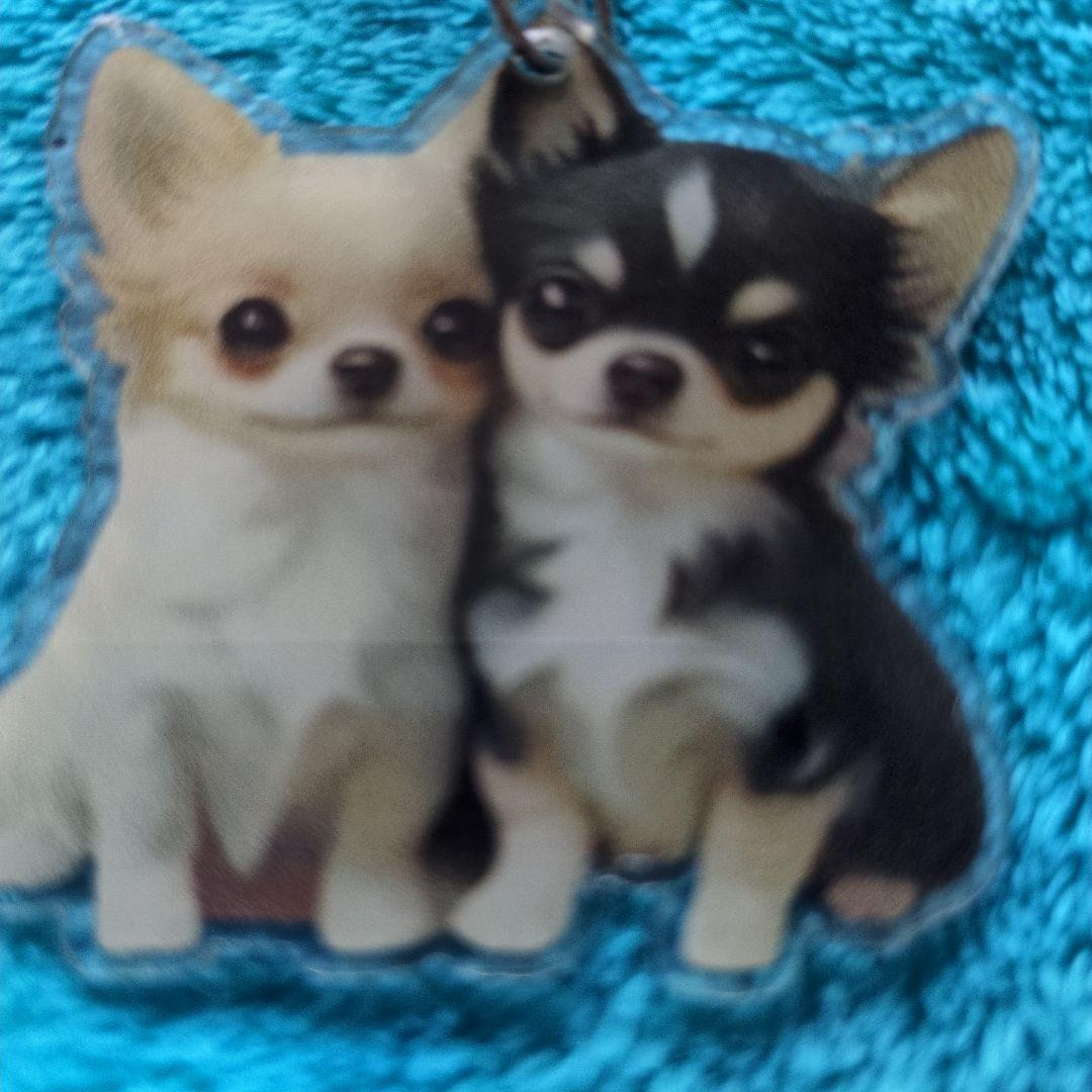 新品未使用で可愛いチワワ アクリルキーホルダーです — image 4