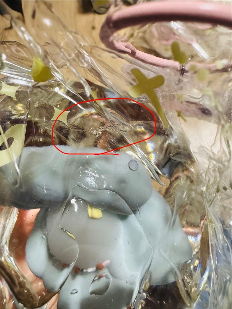 momo 海洋シリーズ　真珠　ウミウシ — image 5